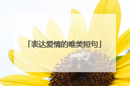 表达爱情的唯美短句