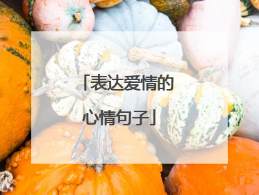 表达爱情的心情句子