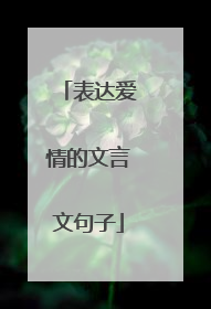 表达爱情的文言文句子