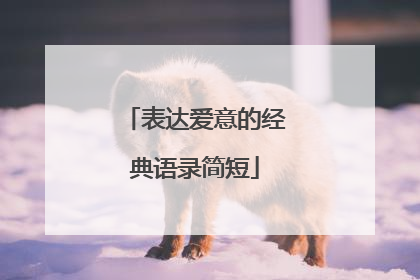 表达爱意的经典语录简短