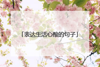 表达生活心酸的句子