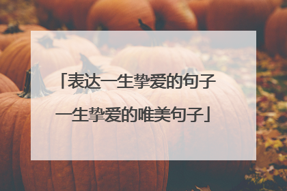表达一生挚爱的句子 一生挚爱的唯美句子