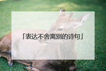 表达不舍离别的诗句