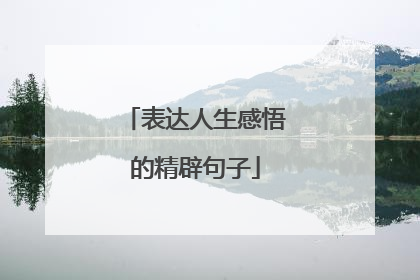 表达人生感悟的精辟句子