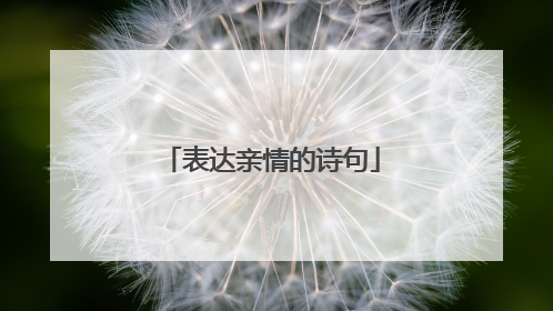 表达亲情的诗句