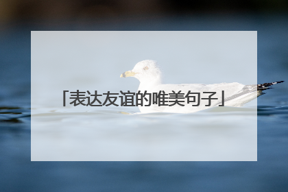 表达友谊的唯美句子