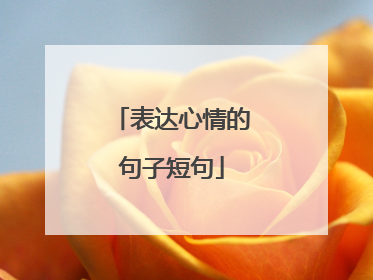 表达心情的句子短句