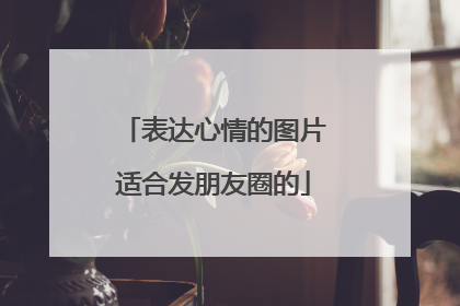 表达心情的图片适合发朋友圈的
