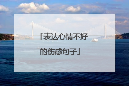 表达心情不好的伤感句子