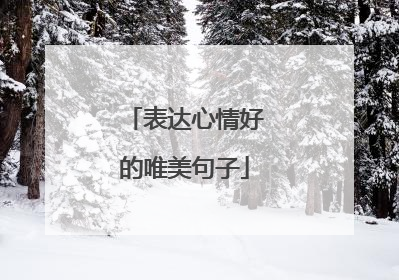 表达心情好的唯美句子