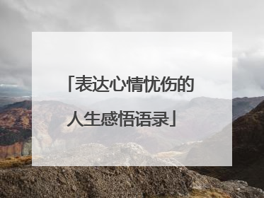 表达心情忧伤的人生感悟语录