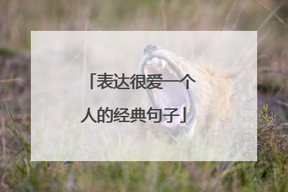 表达很爱一个人的经典句子