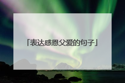 表达感恩父爱的句子