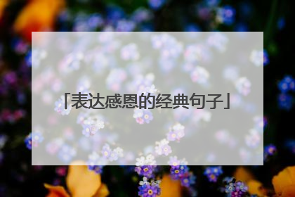 表达感恩的经典句子