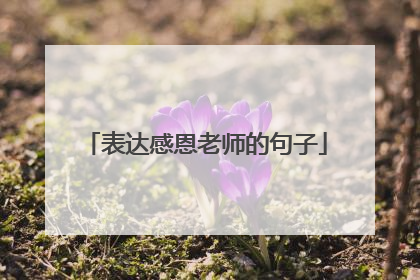 表达感恩老师的句子