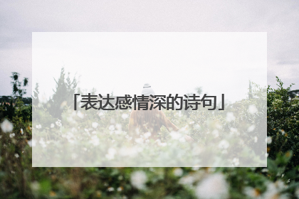 表达感情深的诗句