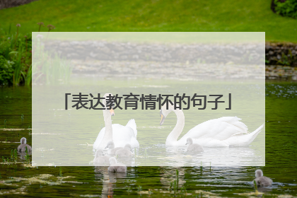表达教育情怀的句子