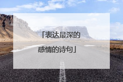 表达最深的感情的诗句