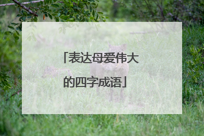 表达母爱伟大的四字成语