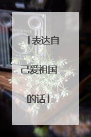 表达自己爱祖国的话