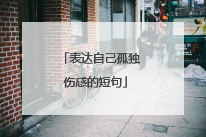 表达自己孤独伤感的短句