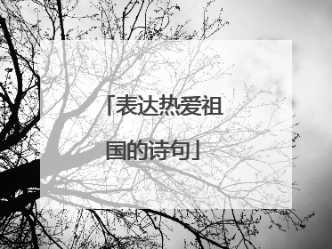 表达热爱祖国的诗句