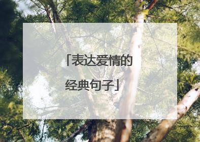 表达爱情的经典句子