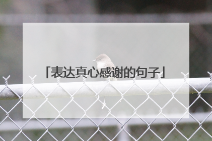表达真心感谢的句子