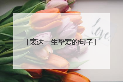 表达一生挚爱的句子