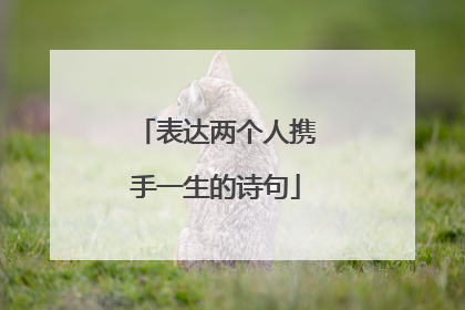 表达两个人携手一生的诗句