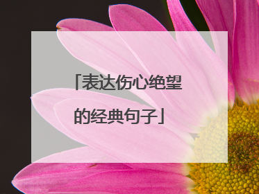 表达伤心绝望的经典句子