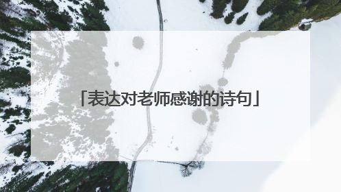 表达对老师感谢的诗句