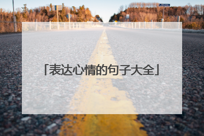 表达心情的句子大全