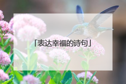 表达幸福的诗句