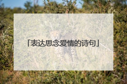 表达思念爱情的诗句
