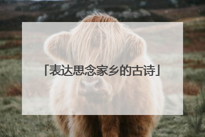 表达思念家乡的古诗