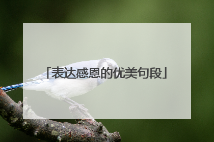 表达感恩的优美句段