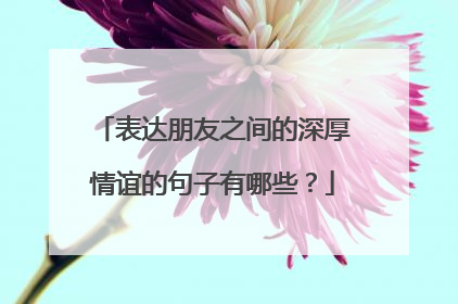 表达朋友之间的深厚情谊的句子有哪些?