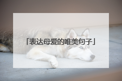 表达母爱的唯美句子