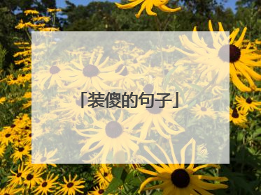 装傻的句子