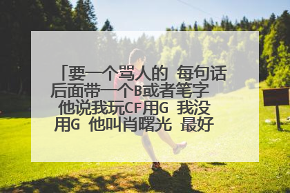 要一个骂人的 每句话后面带一个B或者笔字 他说我玩CF用G 我没用G 他叫肖曙光 最好是一句话一段的那种