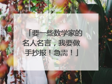 要一些数学家的名人名言,我要做手抄报!急需!
