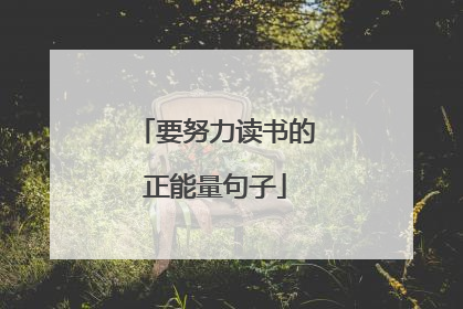 要努力读书的正能量句子