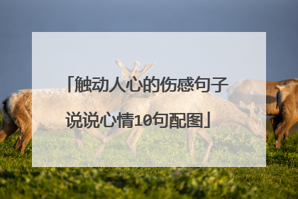 触动人心的伤感句子说说心情10句配图