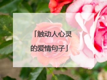 触动人心灵的爱情句子