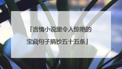 言情小说里令人惊艳的宝藏句子摘抄五十五条