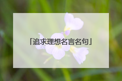 追求理想名言名句