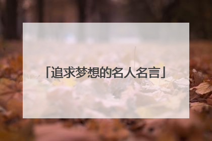 追求梦想的名人名言