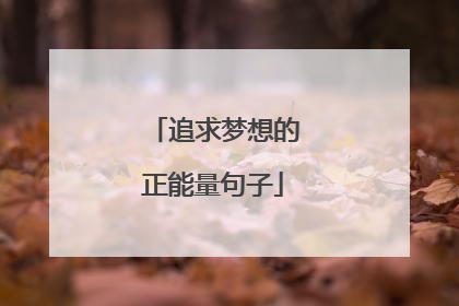 追求梦想的正能量句子
