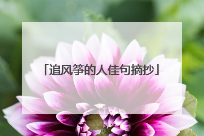 追风筝的人佳句摘抄